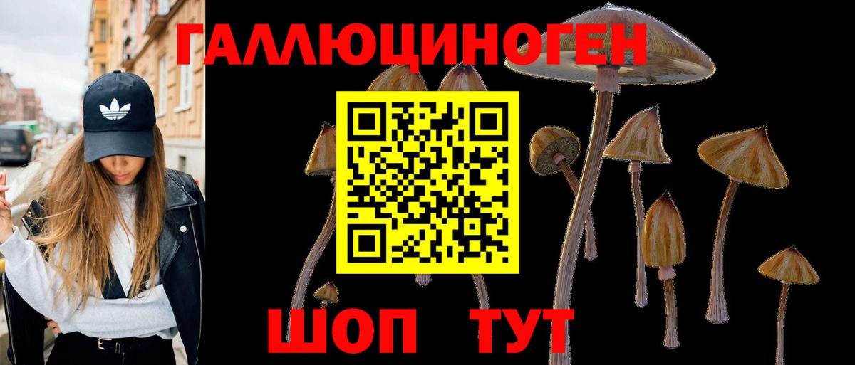 Жигулёвск  Галлюциногенные грибы MAGIC MUSHROOMS  Галлюциногенные грибы Psilocybine cubensis  Вход с VPN 